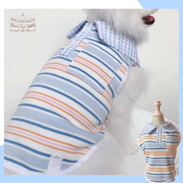 animal-go-round-เสื้อผ้าเครื่องแต่งกาย-สัตว์เลี้ยง-หมา-แมว-สุนัข-รุ่น-hype-boy-shirt