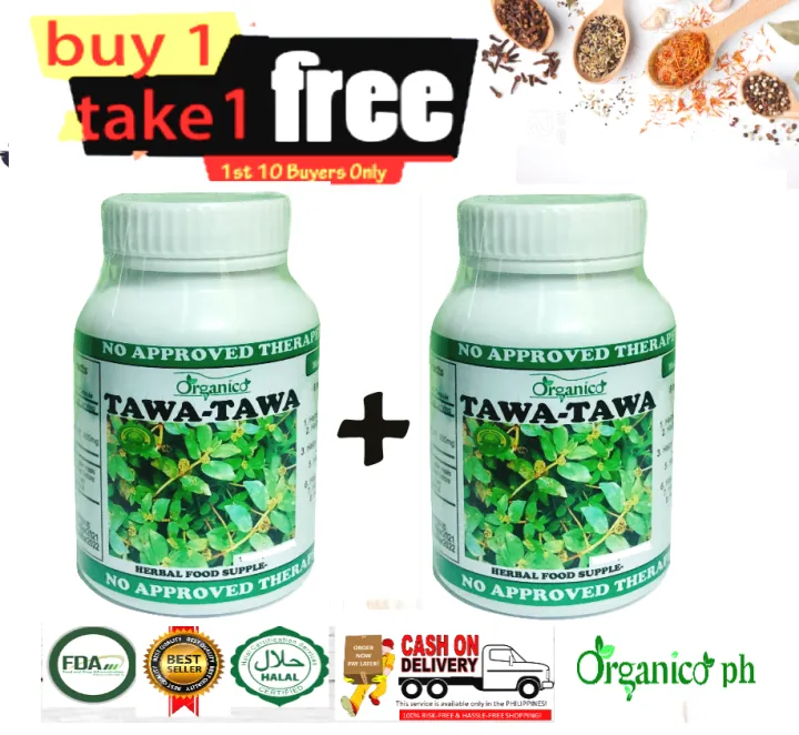 Buy1Take1 Tawa Tawa Leaves (500mg x 60cap each bottle) Lazada PH