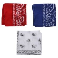 Set of 3 bandanas Paisley Man and Woman 57 x 57 cm