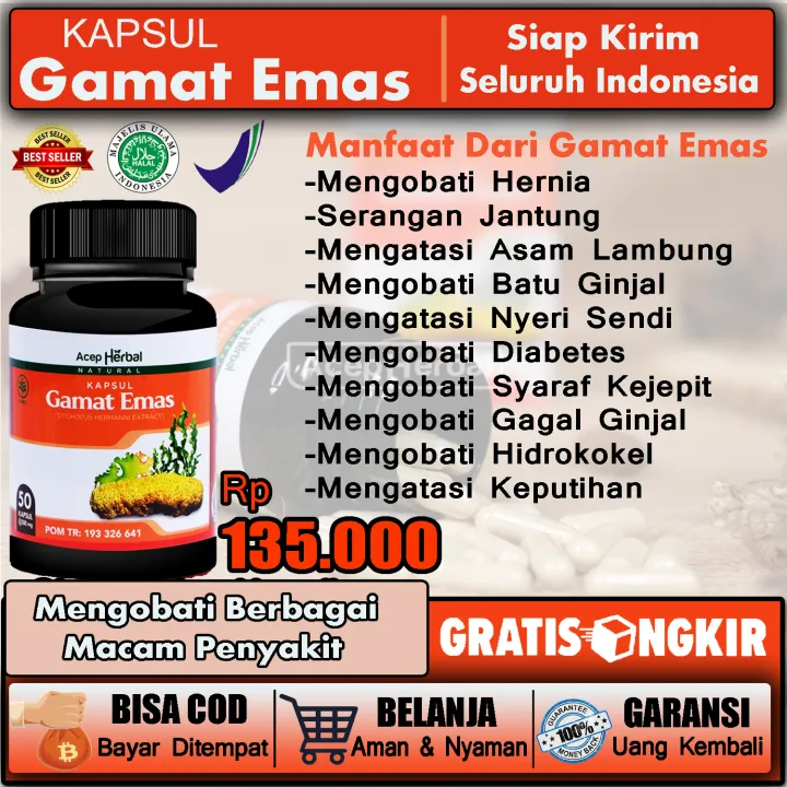 Obat Jantung Jantung Berdebar Debar Gagal Jantung Jantung Bocor Jantung Bengkak Lemah Jantung Jantung Koroner Sakit