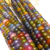 เมล็ดพันธุ์ข้าวโพดพลอย - Glass Gem Corn บรรจุชุดละ  30 เมล็ด  ของแท้