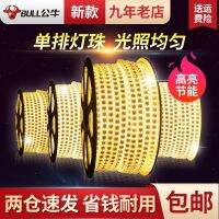 [COD] led with single row strip living room long 220v flexible set