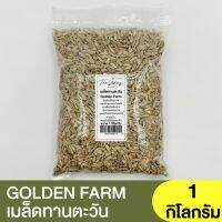 เม็ดทานตะวัน ตรา Golden Farm Boy แบ่งขาย 250g. - 1kg. SUNFLOWER KERNELS