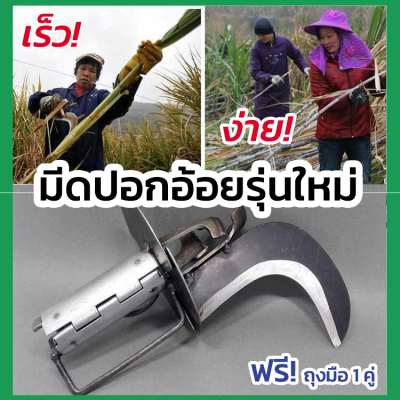 A117 มีดปอกอ้อย มีดตัดอ้อย มีดขูดอ้อย มีดขูดผิวอ้อย อุปกรณ์ขูดอ้อย อุปกรณ์ขูดผิวอ้อย ที่ปอกอ้อย อ้อยคั้นน้ำ น้ำอ้อย