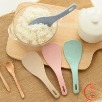 ทัพพีตักข้าว ข้าวไม่ติดทัพพี ทำจากฟางข้าวสาลี wheat straw spoon