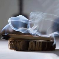 1-80Pcs Palo Santo Natural Incense Sticks Wooden Smudging Stick Aromatherapy Burn Wooden Sticks No Fragrance No Smell