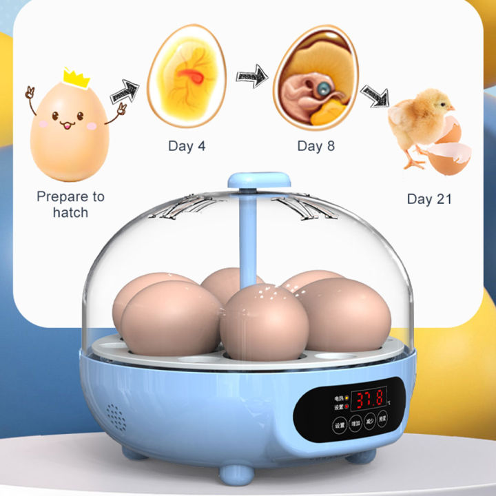 brooder-incubator-ไข่6เป็ดห่านเครื่องมือฟาร์มควบคุมอัตโนมัติ-incubator-นกปัญญาไก่6ไข่ความชื้นอุณหภูมิ