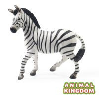 Animal Kingdom - โมเดล Zebra ม้าลาย ขนาด 10.00 CM (จากสงขลา)