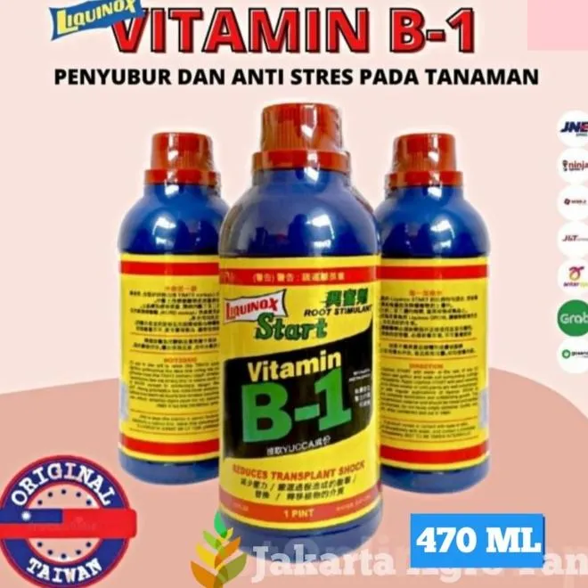 Pupuk Vitamin B1 Tanaman Liquinox Taiwan 470Ml | Lazada Indonesia