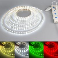 Waterproof 5050 SMD Led Tape AC 220V Flexible Led Strip Holiday Light Desk Lamp Book Bulb Outdoor Garden Lighting with EU Plug Power Points  Switches