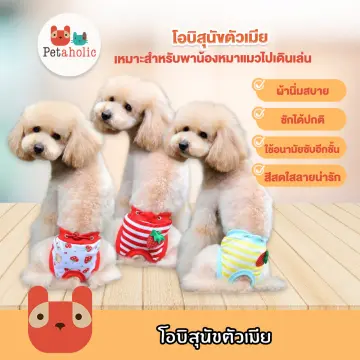 ผ้ากะชับหมา ราคาถูก ซื้อออนไลน์ที่ - ก.ย. 2023 | Lazada.Co.Th