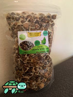 Dried Moringa seeds     Size 500g.   (Raw)