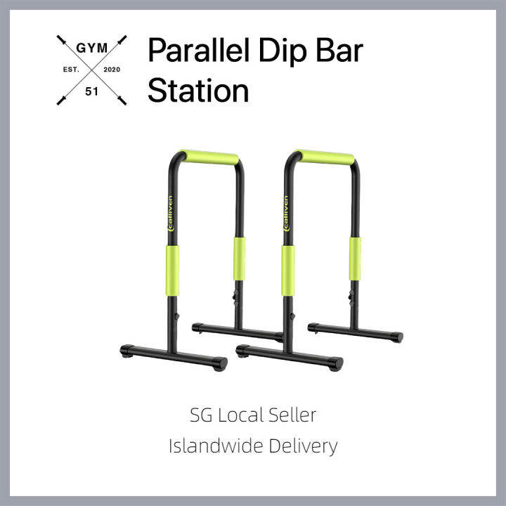 [Pre Order] Premium Parallel Dip Bar Station / Steel Dips Bars