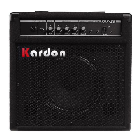 แอมป์เบส-kardon-tnt20-bass-amps