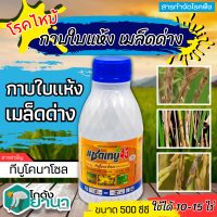 ? แซดเทบู (ทีบูโคลนาโซน) ขนาด 500ซีซี ป้องกันเชื้อรา โรคราน้ำค้าง เมล็ดด่าง ใบจุด ใบขีด