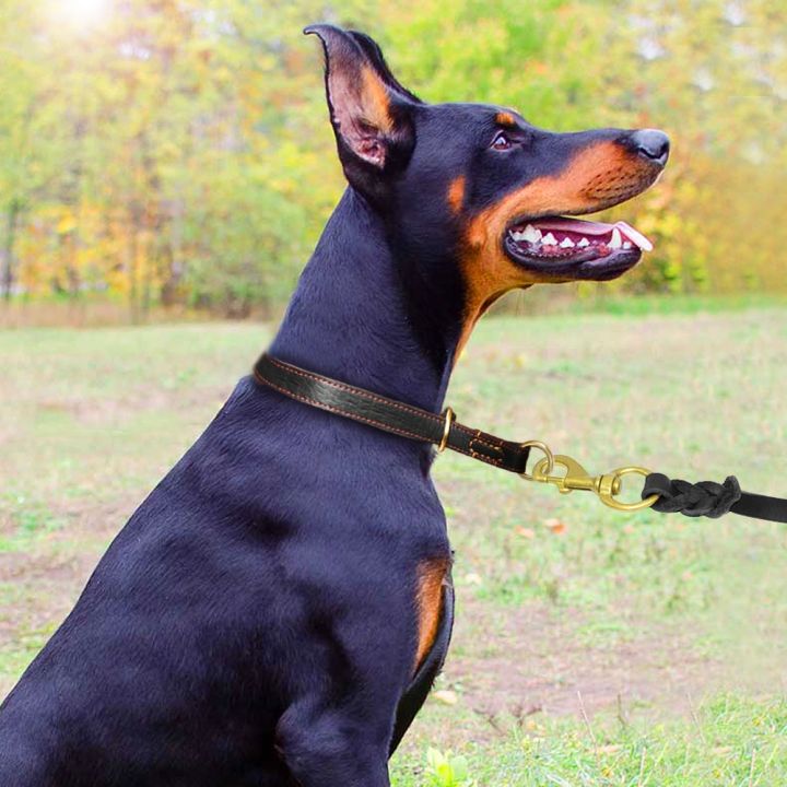 papi-pet-ปลอกคอฝึกหัดแบบโช้คสำหรับสุนัขปลอกคอสุนัขหนังแท้ทนทานขนาดกลางขนาดใหญ่-สำหรับลาบราดอร์เยอรมันเชพเพิร์ตสัตว์เลี้ยงสีน้ำตาลดำ