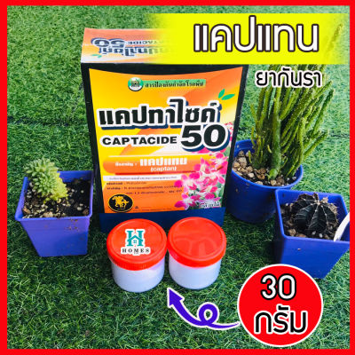 ยากันเชื้อรา cactus ยากันราแคปแทน (Captan - Captacide 50) ราในกระบองเพชร ไม้อวบน้ำ แคคตัส ไม้ประดับ ยาเพาะเมล็ด ฆ่าเชื้อราในดิน แคปแทน แบ่งขาย 30 g homes