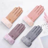 【cw】 Cross-Border Manufacturers Wholesale and Retail New Womens Winter Suede Composite Bejirog Thickened Touch Screen Thermal s !