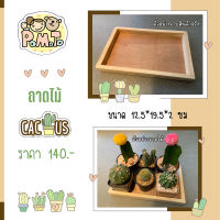 [พร้อมส่ง] ถาดไม้กะบะไม้ ใส่แคคตัส กระบองเพชร ขนาด 12.5x19.5x2cm. รหัส BOXCT03