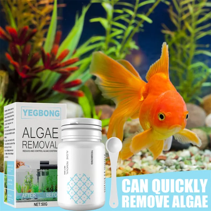 FavorMax Fish Tank Moss Algae Remover Aquatic Algae Control Spoon Water