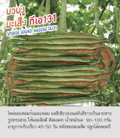 เมล็ดพันธุ์ บวบงู บวบ มะเส็ง ทีเอ131 - Sponge Gourd Maseng TA131 ตราดอกแตง เมล็ดพันธุ์คุณภาพ "เพื่อนเกษตรกร"