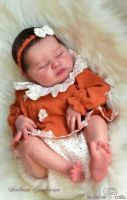 FBBD 20.5Inch Reborn Baby Doll Laura By Bonnie Brown Fresh Color Soft Touch Unpainted Kit Rare Limited Edition With COA