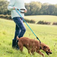 【NORMA】150cm Reflective Dog Leash Rope Nylon Dogs Puppy Leashes Long Heavy Duty Large Dog Lead