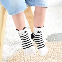 【CW】₪☃  Baby Socks Cartoon Boys Children Toe Five for Kids Correction New Year Gifts 3-12T