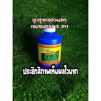 B1 น้ำนยาเร่งราก ของนอก 235 470cc