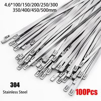 100Pcs 304#Stainless Steel Metal Cable Ties With Self-locking 4.6mm Antioxidant Multifunctional Locking Cable Ties Cable Management