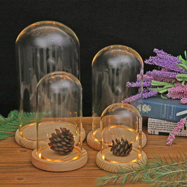 simplelove-clear-glass-display-dome-with-wooden-base-display-dry-flower-plant