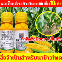 ?สิ่งจำเป็นสำหรับนาข้าวโพด!?ฆ่าหญ้าข้าวโพด ยาชุดข้าวโพด100g เข้มข้นสุดๆ กำจัดวัชพืชอย่างสิ้นเชิง กำจัดหญ้าในไร่ข้าวโพด​​ กำจัดวัชพืชเท่านั้น ผลเก็บเกี่ยวข้าวโพดเพิ่มขึ้น10เท่า สารกำจัดวัชพืชข้าวโพด สารกำจัดวัชพืชใบแคบและใบกว้าง ยาฉีดหญ้าข้าวโพด