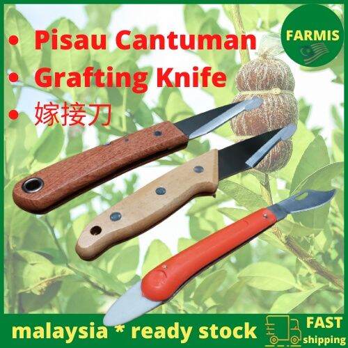 Farmis Folding Grafting Knife Plants Grafting Knife Pisau Kahwin Pokok