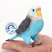 Munich Play - โมเดล Budgerigar นก หงส์หยก ฟ้า ขนาด 18.00 CM (จากหาดใหญ่)