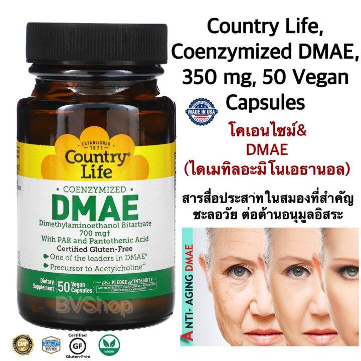 โคเอนโซม์ และ DMAE ไดเมทิลอะมิโนเอทานอล (สุขภาพสมอง ต่อต้านริ้วรอย