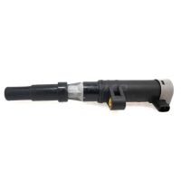 Ignition Coil For Renault CLIO Espace Grand Scenic Modus Kangoo Laguna Logan Megane DACIA NISSAN OPEL 7700113357 8200672564