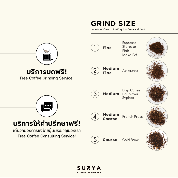 surya-coffee-explorers-เมล็ดกาแฟเลอตอโกลด์-le-tor-gold-ตาก