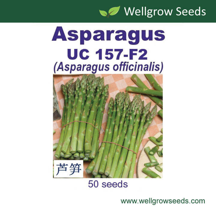 Asparagus UC 157F2 芦笋 50 seeds (not live plants) Lazada PH
