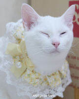 ปลอกคอแมวแบบผูกมุ้งมิ้ง Super Cat Collar