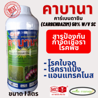 คาร์เบนดาซิม หัววัว คันไถ ขนาด 1 ลิตร (carbendazim) 50% ป้о งกัuโรคใบจุด โรคแอนแทรคโนส โรคใบไหม้ โรคกาบใบแห้ง