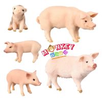 Monkey Toys - โมเดลสัตว์ Pig หมู พ่อแม่ลูก ชุด 5 ตัว (จากหาดใหญ่)