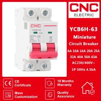 【YF】 CNC YCB6H-63 6A/10A/16A/20A/25A/32A 2 Poles Din Rail Mount Breaking Capacity Miniature Circuit Breaker MCB