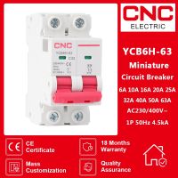 CNC YCB6H-63 6A/10A/16A/20A/25A/32A 2 Poles Din Rail Mount Breaking Capacity Miniature Circuit Breaker MCB