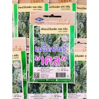 เมล็ด เคล Kale งอกดี โตไว คะน้าใบหยิก เจียไต๋ ผักสลัด Kale seeds