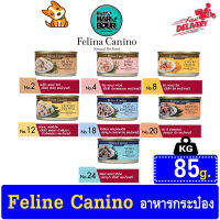 อาหารสุนัข Felina Canino ขนาด 85 กรัม