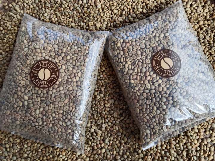 สารกาแฟ-สารเมล็ดกาแฟ-เมล็ดกาแฟสาร-โรบัสต้า-เกรดรวม-คัดมือ-ขนาด-1-กิโลกรัม-129-บาท-dry-process-robusta-green-bean-กาแฟสารใหม่ปี-2023-กาแฟสารชุมพร