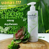 แชมพูฮาวิล่าห์ สูตรสมุนไพรสด (1x300 ml) แชมพูผมร่วง บอกลาผมร่วง ผมบาง รังแค หนังศรีษะมัน  Fresh Herbal Shampo Anti-Hair Loss Havilah