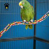 JNFGTV Conure เชือกคอตตอนแท่นของเล่นรูปนกแก้วนกสีสันสดใสบันจี้อุปกรณ์เสริมกรง