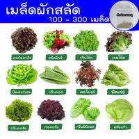 เมล็ดผักสลัด  ? ผักสลัด 100 - 300 เมล็ด  เมล็ดพันธุ์ผักสลัด ไฮโดรโปนิกส์ งอกดี?