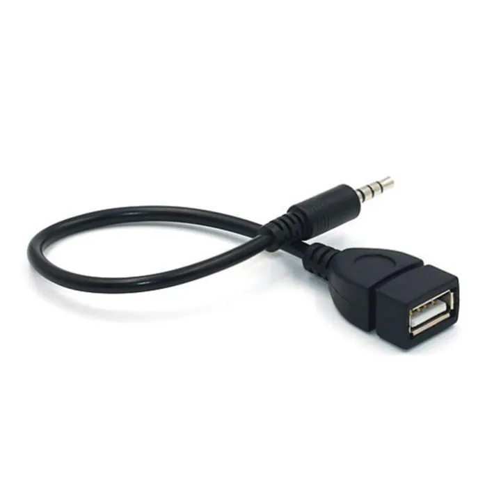 Bai Tao Mm Male Audio Aux Jack To Usb Type A Female Otg